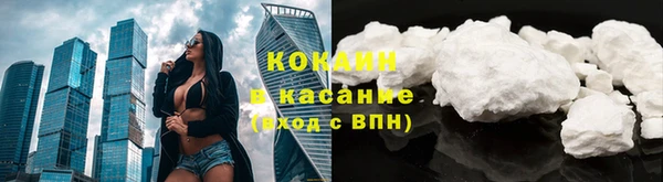шишки Каменногорск
