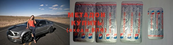 шишки Каменногорск