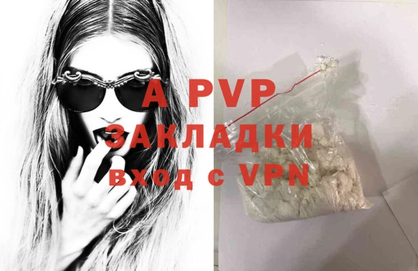 шишки Каменногорск